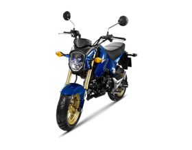 honda msx 125cc - xanh đen