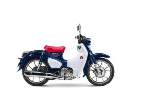 HONDA CUB 125CC - XANH LAM