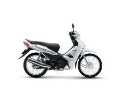 HONDA WAVE ALPHA 100CC – TRẮNG