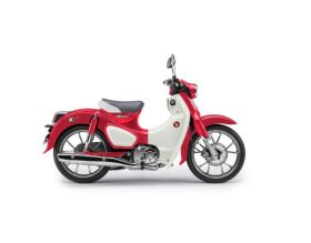 HONDA CUB 125CC - ĐỎ TRẮNG